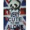    Very cute to be alone
