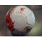  Liverpool Crest