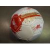  Liverpool Crest