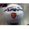  Arsenal Crest