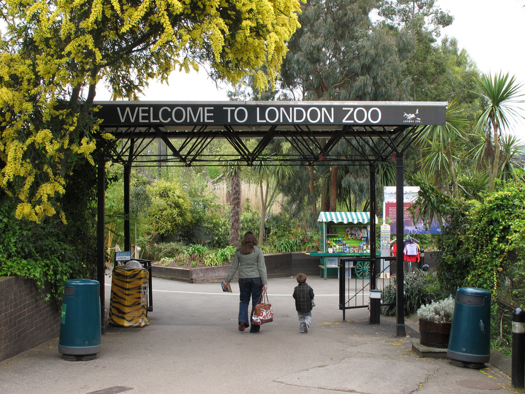 Карта лондонского зоопарка